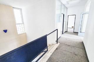 Büro zu mieten in Sechsschimmelgasse, 1090 Wien, Büro- & Gewerbeflächen mit Potenzial – Souterrain