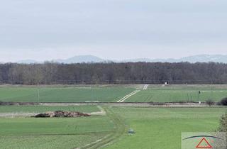 Gewerbeimmobilie kaufen in 2263 Waidendorf, Kleinere gute Äcker!