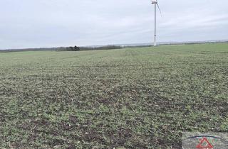 Gewerbeimmobilie kaufen in 2263 Dürnkrut, Sehr gute Äcker!