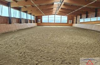 Gewerbeimmobilie kaufen in 8323 Krumegg, Top gepflegte Reitsportanlage in traumhafter Aussichtslage! Ihr persönliches Paradies für Mensch & Pferd!