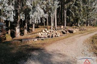 Gewerbeimmobilie kaufen in 8781 Wald am Schoberpaß, Schöner Wirtschaftswald in Wald/Schoberpass!