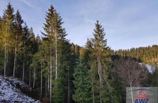 Gewerbeimmobilie kaufen in 2881 Trattenbach, Wald mit ca. 11,5 ha im Bezirk Neunkirchen!