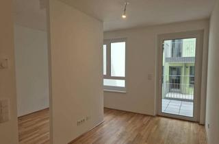 Wohnung mieten in Ungargasse 27a, 2700 Wiener Neustadt, Provisionsfreie 1-Zimmer Wohnung im Zentrum von Wiener Neustadt