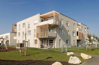 Wohnung mieten in Anton Fromm-Straße, 2231 Strasshof an der Nordbahn, Strasshof – Charmante Gartenwohnung für Paare & Singles