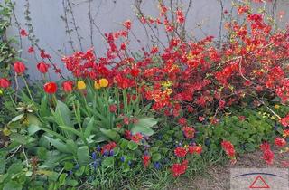 Haus kaufen in 8324 Kirchberg an der Raab, Großzügiges Haus mit Garten & ca. 90 m² Traumterrasse!