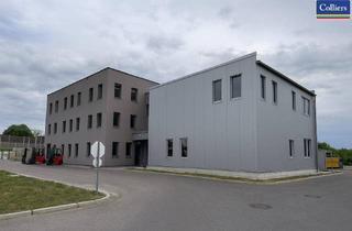 Büro zu mieten in 2482 Münchendorf, Betriebsliegenschaft mit großvolumigem Freilagerplatz