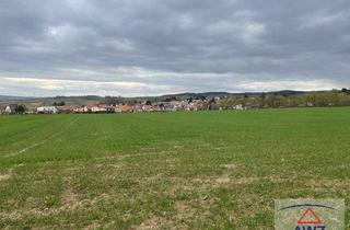 Grundstück zu kaufen in 2020 Hollabrunn, Top Investion: eventuell mögliches Bauhoffnungsland nahe dem Stadtzentrum von Hollabrunn!