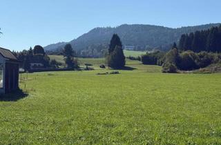 Grundstück zu kaufen in Lindenweg 14, 9560 Feldkirchen in Kärnten, Sonnige Baugründe in Feldkirchen in Kärnten Top Lage