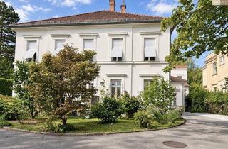 Büro zu mieten in Marchetstraße, 2500 Baden, Repräsentative Praxis- / Bürofläche in Toplage Baden – ca. 215 m² mit Terrasse & vielseitiger Raumaufteilung!