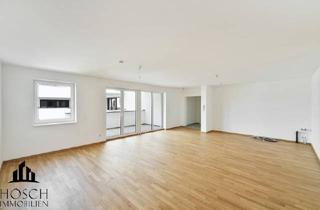 Wohnung kaufen in 2000 Stockerau, Neubauprojekt nahe Wien: 6 vermietete Anlegerwohnungen + 1 freie Einheit
