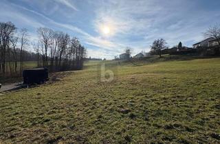 Grundstück zu kaufen in 4400 Steyr, Wohnen auf Höchstem Niveau, Kein Bauzwang - Südhang in Ruhelage mit Zentrumsnähe