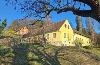 Gewerbeimmobilie kaufen in 8280 Hartl bei Fürstenfeld, ALLEINLAGE: Sanierungsbedürftiger Vierkanthof mit ca. 17ha Land zu verkaufen