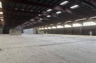Gewerbeimmobilie mieten in 2000 Stockerau, Lagerhalle in Stockerau