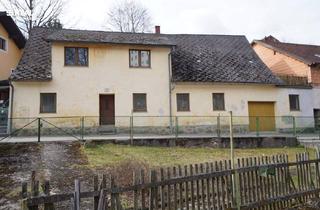 Haus kaufen in 3970 Weitra, Zweifamilienhaus direkt in der Braustadt