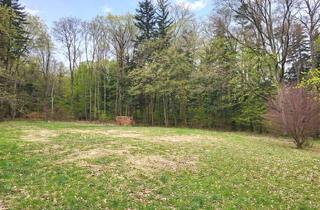 Grundstück zu kaufen in 3071 Böheimkirchen, GRÜNLAND IM RAUM BÖHEIMKIRCHEN