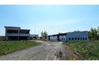 Immobilie kaufen in 2474 Gattendorf, Attraktiver Betriebsstandort: Halle, Büro-/Wohngebäude und großes Grundstück mit Entwicklungspotential