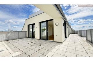 Penthouse mieten in Arnethgasse, 1160 Wien, HIGH-LEVEL-PENTHOUSE mit POOL am Dach und DIREKTLIFT!!! 140m² TERRASSENFLÄCHE!!!