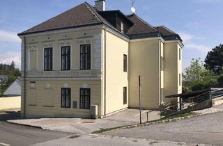 Wohnung mieten in Hauptstraße 49, 2123 Schleinbach, Charmante und gemütliche Dachgeschoßwohnung