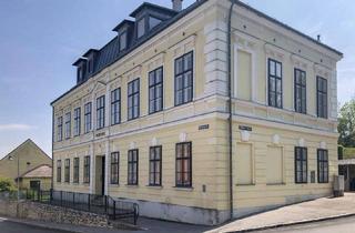 Wohnung mieten in Hauptstraße 49, 2123 Schleinbach, Ansprechende Wohnung mit hohen Räumen