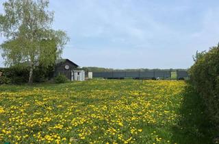 Haus kaufen in 2491 Neufeld an der Leitha, Pachtgrundstück in der Feriensiedlung Neufelder See