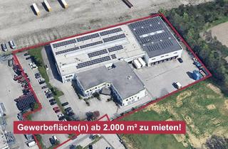 Lager mieten in 4600 Wels, Großzügiges Gewerbe-Areal mit Büro- & Hallenflächen in Wels - ab 2.000 m² zu Mieten