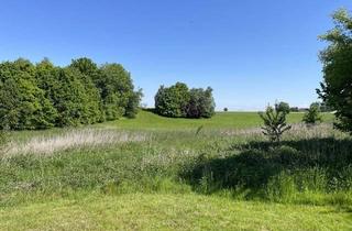 Gewerbeimmobilie kaufen in 5145 Neukirchen an der Enknach, Landwirtschaft in bester Lage im Innviertel / Haupthaus / Nebengebäude / Pferdeboxen / zahlreiche Bewirtschaftungsflächen / Wald.