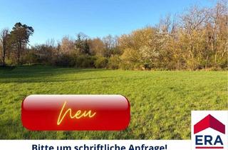 Gewerbeimmobilie kaufen in 2191 Gaweinstal, Freizeitgrundstück in Gaweinstal – ruhige Grünlage mit viel Natur und Entwicklungspotenzial