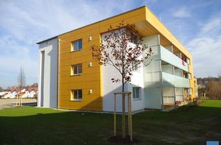 Wohnung mieten in Dr. Finsterer-Weg, 5252 Aspach, Objekt 2037: 2-Zimmerwohnung in 5252 Aspach, Dr. Finsterer-Weg 4, Top 5