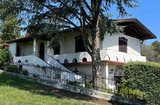 Haus kaufen in 7471 Rechnitz, Exklusives Weingartendomizil - geschützte Alleinlage mit unverbauter Fernsicht - viel Platz auf mehreren Ebenen! Großer Wohnraum + ebenerdiger Wohnkeller (Provisionsfrei)