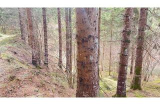 Gewerbeimmobilie kaufen in 9344 Weitensfeld, Wald im Gurktal (Provisionsfrei)