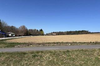 Grundstück zu kaufen in 7441 Pilgersdorf, 7.800 m² Baugrund in idyllischer Lage, umgeben von Rad-und Wanderwegen im mittleren Burgenland