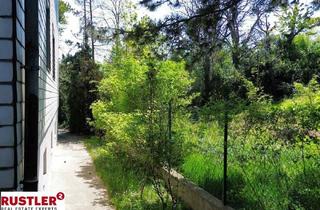 Grundstück zu kaufen in 2345 Brunn am Gebirge, großzügiges Grundstück mit sehr gepflegtem Bestand