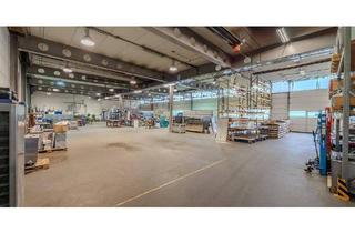 Büro zu mieten in 3382 Loosdorf, Schöne Halle für Lager/Produktion & Büros in sehr gutem Zustand | Gewerbeobjekt in 3382 Loosdorf zu mieten