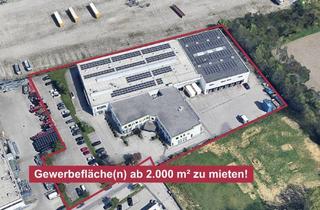 Büro zu mieten in 4600 Wels, Großzügiges Gewerbe-Areal mit Büro- & Hallenflächen in Wels - ab 2.000 m² zu mieten