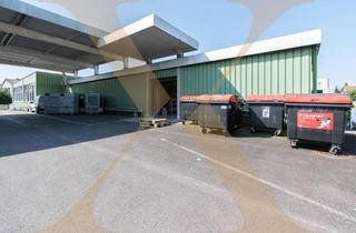 Gewerbeimmobilie mieten in 4061 Pasching, Lagerfläche in Pasching zu vermieten!