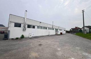 Gewerbeimmobilie mieten in Wiener Straße 18, 4481 Asten, Vermietung von effizienten Lagerflächen in zentraler Lage von Asten