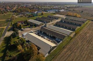 Büro zu mieten in 7072 Mörbisch am See, Flexible Industriehallen nahe M85 | 5,5 ha Gewerbeareal | Produktion & Logistik geeignet