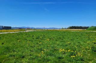 Grundstück zu kaufen in 4541 Adlwang, ERSTKLASSIGES GRUNDSTÜCK