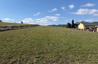 Grundstück zu kaufen in 2763 Neusiedl, Baugrundstück mit 1092 m² in Neusiedl sofort verfügbar