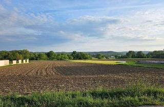Grundstück zu kaufen in 7022 Schattendorf, Großes, ebenes Baugrundstück in Schattendorf
