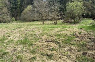 Grundstück zu kaufen in 5231 Schalchen, Grundstück in Grün- und Ruhelage - nahe der Stadt Salzburg