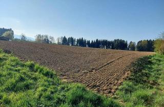 Grundstück zu kaufen in 9431 Sankt Stefan, 9431 Stefan/Völking Wunderschöner Baugrund