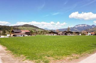 Grundstück zu kaufen in 6361 Hopfgarten-Markt, Grundstück auf sonnigem Hochplateau