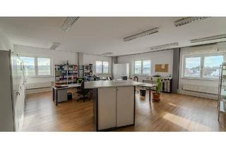 Büro zu mieten in 3382 Loosdorf, Sehr schöne Büros in top Zustand | Gewerbeobjekt in 3382 Loosdorf zu mieten