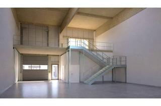 Büro zu mieten in 7042 Antau, Moderne Gewerbehalle in Antau – flexibel teilbar | 280 m² bis 1.200 m² | Neubauprojekt - TOP 1A