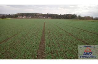 Gewerbeimmobilie kaufen in 3352 Sankt Peter in der Au-Markt, Leistbarer Acker mit ca. 8200 m² in St. Peter/Au - Amstetten