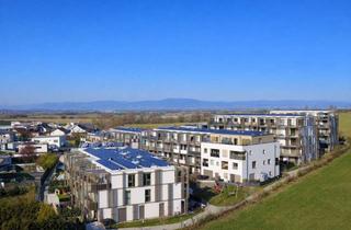 Wohnung kaufen in 2435 Ebergassing, Moderne 2-Zimmer-Wohnung mit Loggia in Ebergassing – Baujahr 2023, hochwertig ausgestattet