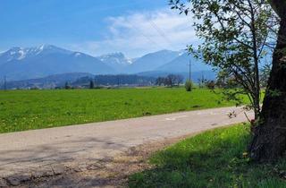 Grundstück zu kaufen in 9184 Sankt Jakob im Rosental, Ländliche Traumlage mit malerischem Karawankenblick