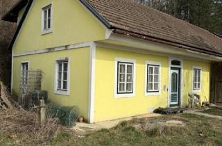 Grundstück zu kaufen in 3071 Böheimkirchen, Landleben nahe Wien – großes Grundstück mit Altbestand