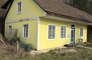 Grundstück zu kaufen in 3071 Schildberg, Landleben nahe Wien – großes Grundstück mit Altbestand
